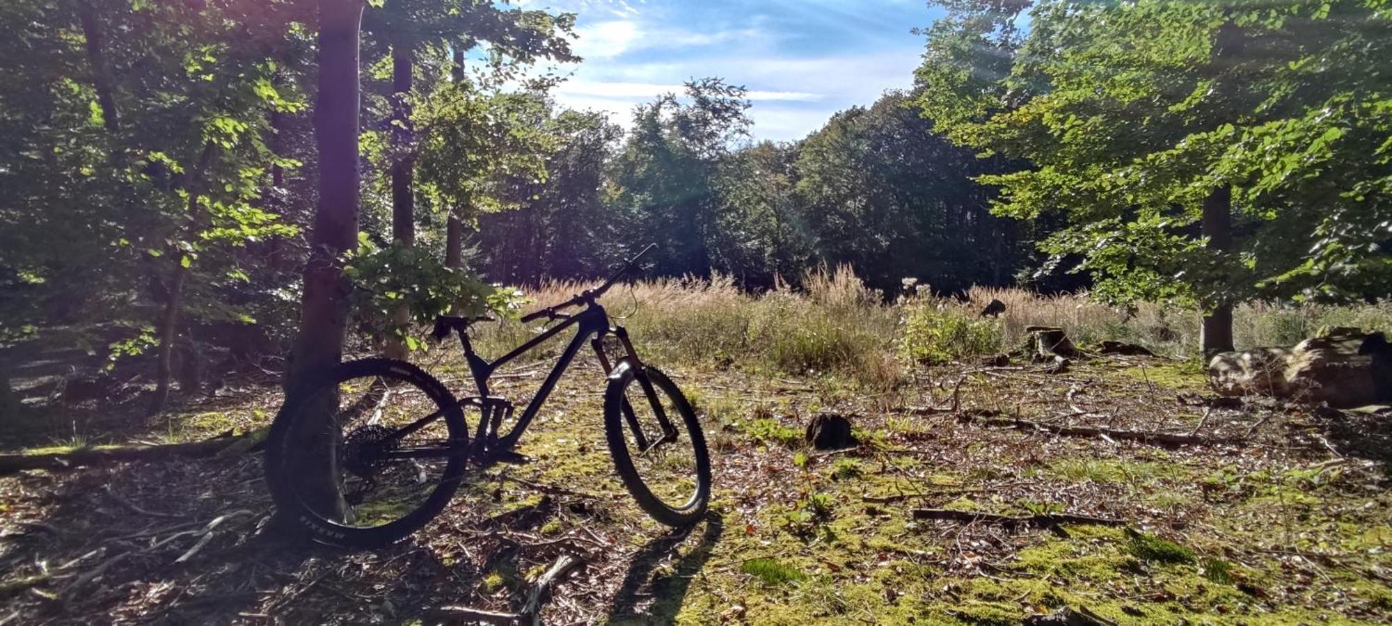 Ferienhaus Moehnetal Allagen Exteriör bild