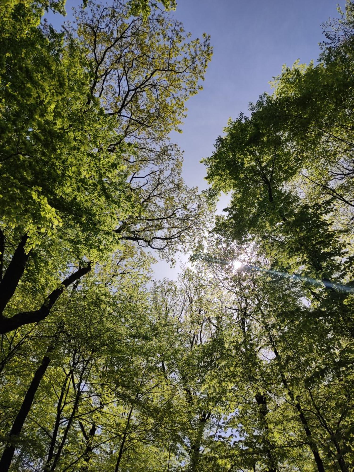 Ferienhaus Moehnetal Allagen Exteriör bild